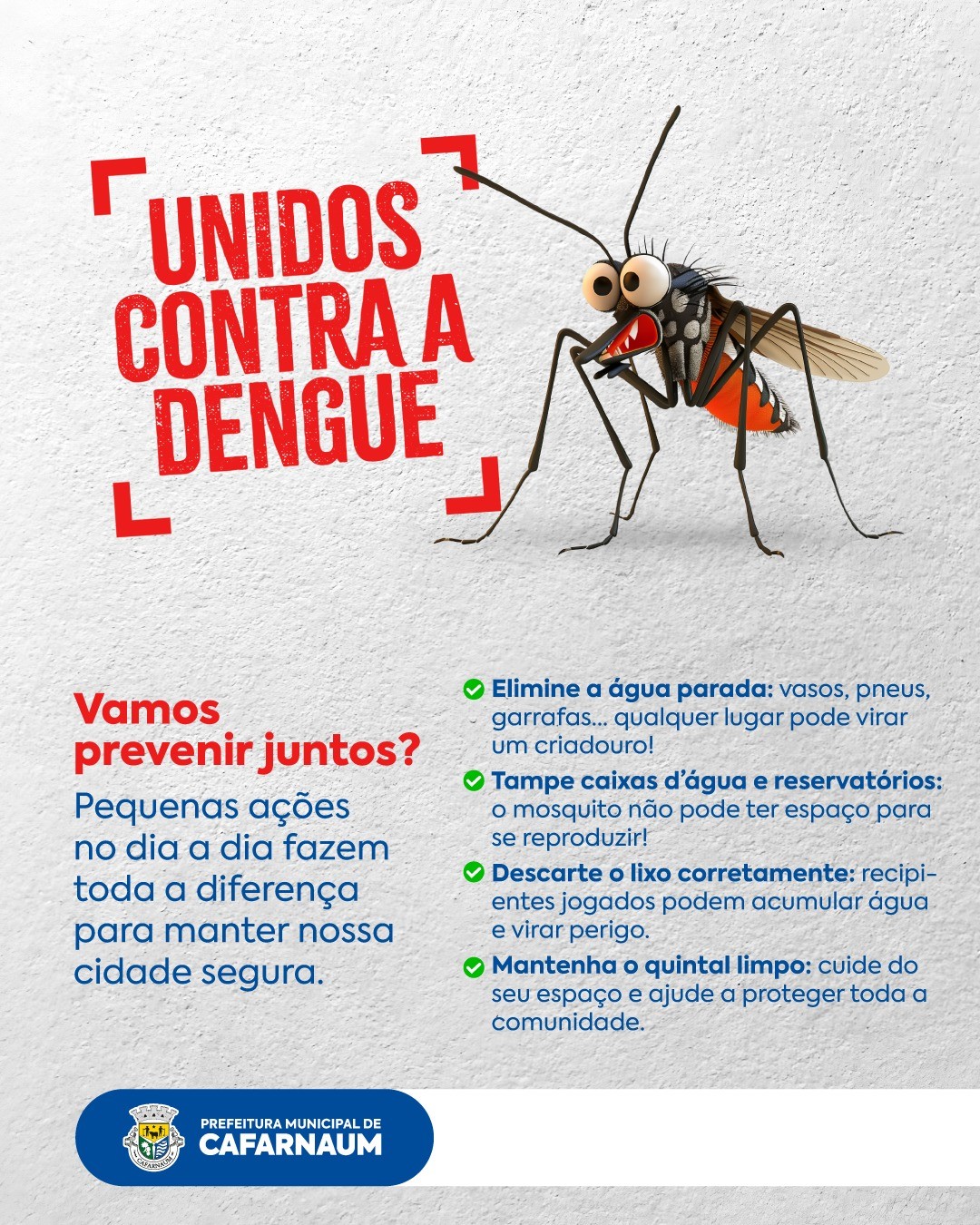 Unidos contra a Dengue